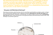 Infoblatt - Information zu Nikotinbeuteln