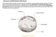 Infoblatt - Information zu Nikotinbeuteln